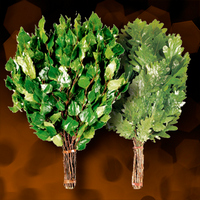 Веник для бани и сауны